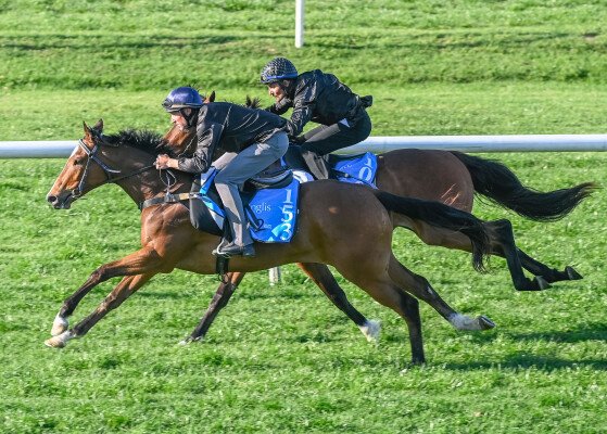 Lot 153: Brave Smash (JPN) / Unforgivable